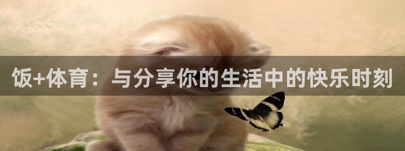 9255tv直播nba在线直播：饭+体育：与分享你的生活中的快乐时刻
