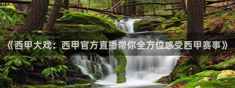 9255tv直播nba在线观看：《西甲大戏：西甲官方直播带你全方位感受西甲赛事》