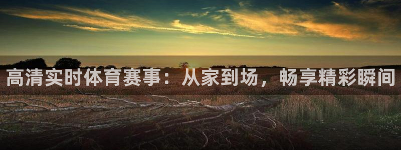9255tv直播无插件nba：高清实时体育赛事：从家到场，畅享精彩瞬间