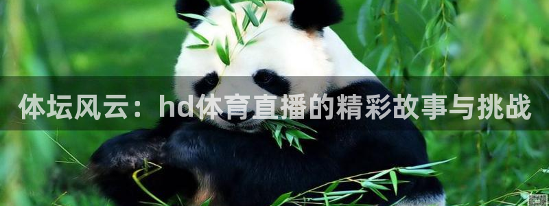 9255tv直播nba在线观看：体坛风云：hd体育直播的精彩故事与挑战