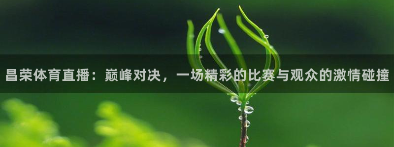 9255tv直播nba在线直播：昌荣体育直播：巅峰对决，一场精彩的比赛与观众的激情碰撞