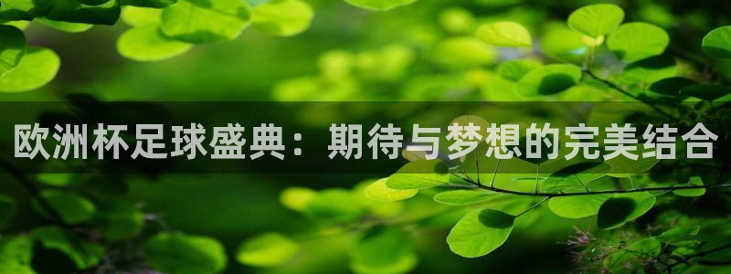 9255tv直播nba在线直播：欧洲杯足球盛典：期待与梦想的完美结合