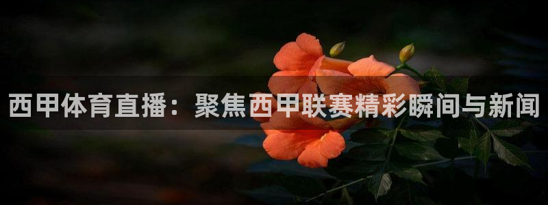 9255tv直播无插件nba：西甲体育直播：聚焦西甲联赛精彩瞬间与新闻