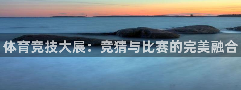 9255tv直播nba在线观看：体育竞技大展：竞猜与比赛的完美融合