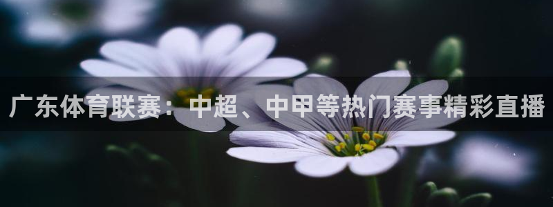 9255tv直播nba在线观看：广东体育联赛：中超、中甲等热门赛事精彩直播