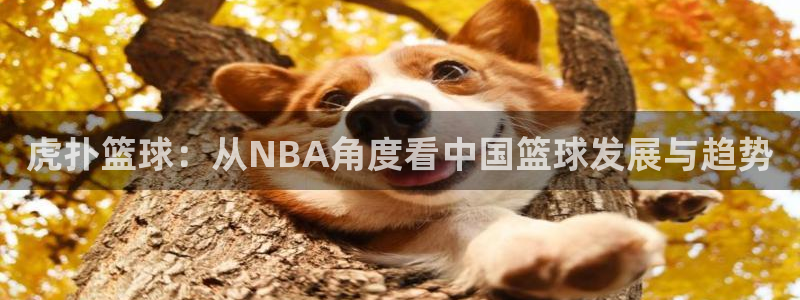 9255tv直播nba在线直播：虎扑篮球：从NBA角度看中国篮球发展与趋势