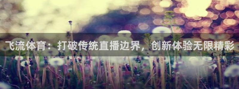 9255tv直播nba在线观看：飞流体育：打破传统直播边界，创新体验无限精彩