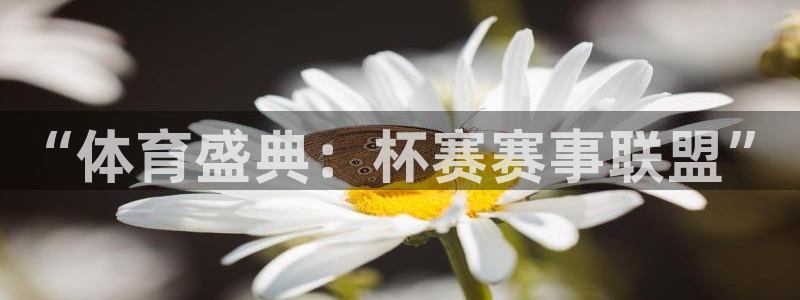 9255tv直播nba在线直播：“体育盛典：杯赛赛事联盟”