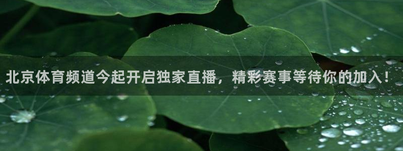 9255tv直播nba在线观看：北京体育频道今起开启独家直播，精彩赛事等待你的加入！