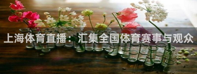 9255tv直播nba在线观看：上海体育直播：汇集全国体育赛事与观众