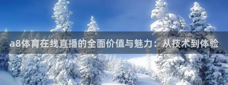 9255tv直播nba在线观看：a8体育在线直播的全面价值与魅力：从技术到体验