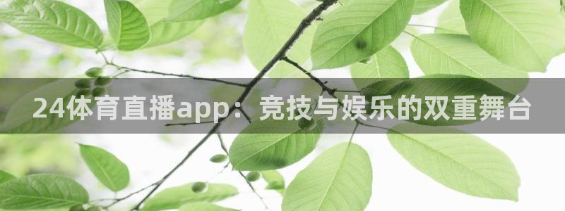 9255tv直播nba在线直播