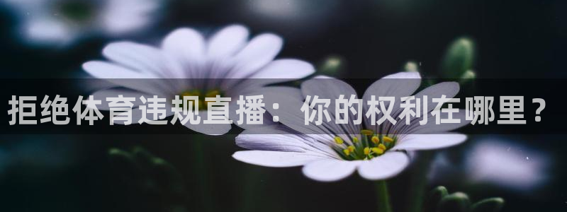 9255tv直播nba在线观看：拒绝体育违规直播：你的权利在哪里？