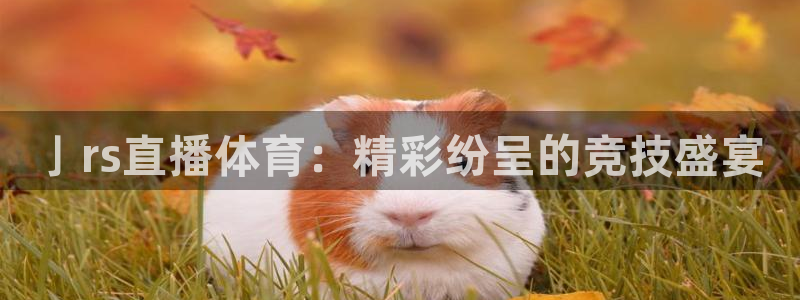 9255tv直播nba在线直播：亅rs直播体育：精彩纷呈的竞技盛宴