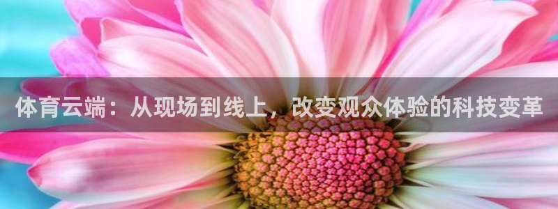 9255tv直播nba在线观看：体育云端：从现场到线上，改变观众体验的科技变革