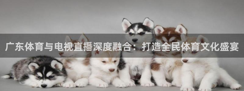 9255tv直播nba在线直播：广东体育与电视直播深度融合：打造全民体育文化盛宴